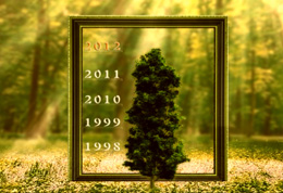 ���ηֹ�˾����Ƭ